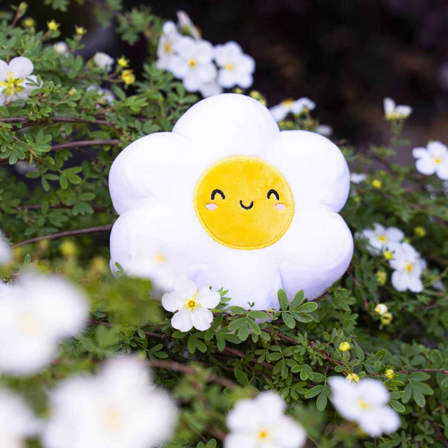 Legami Plüschtier - SUPER SOFT! - MINI - DAISY