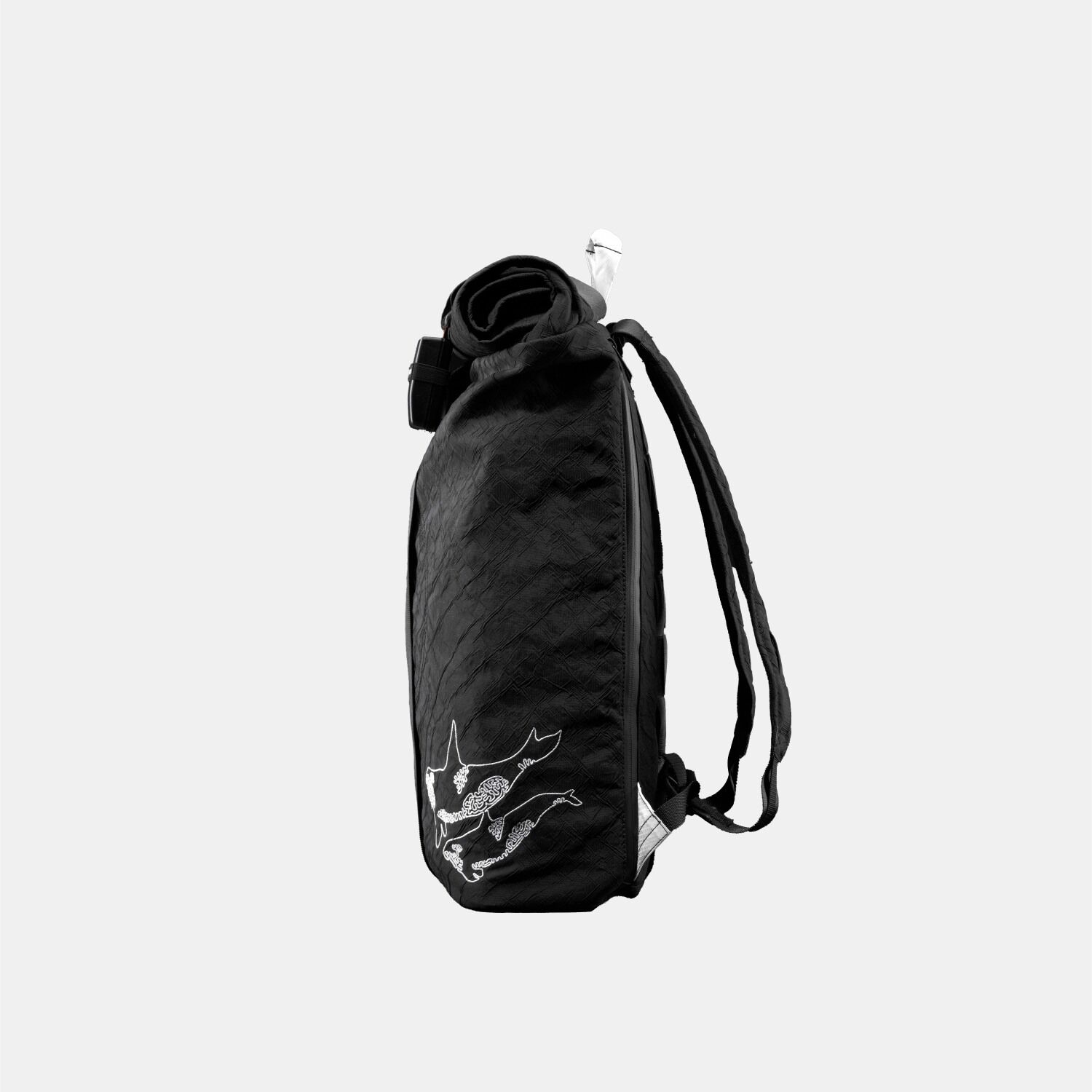 Airpaq Rucksack Rolltop Orca BIQ Special Edition