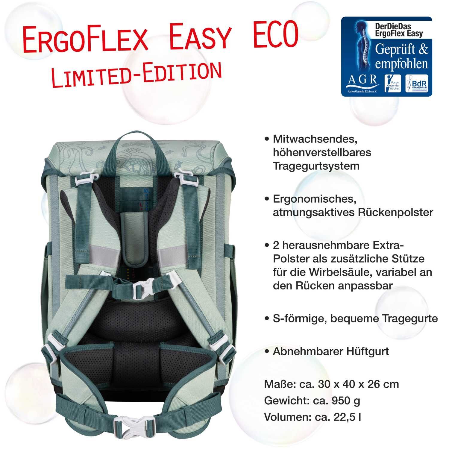 DerDieDas ErgoFlex Easy ECO Schulranzenset 5 teilig Grey Planet