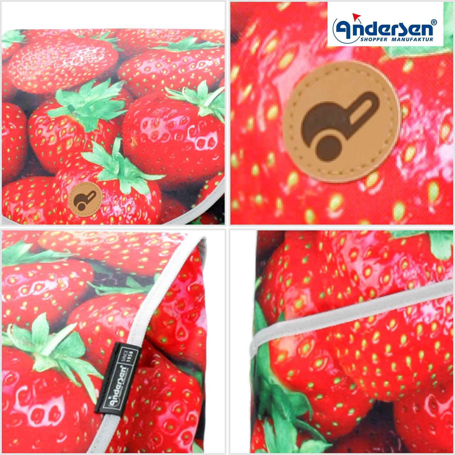 Andersen Einkaufstrolley Tasche MIX A30