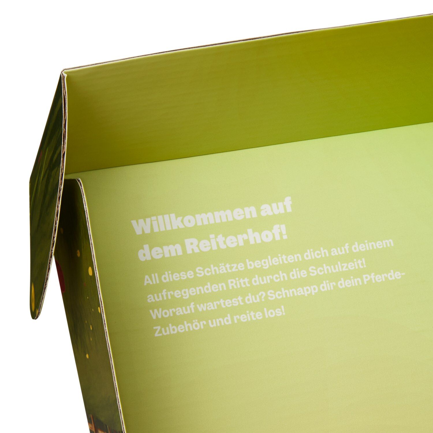 ergobag Fan-Box Pferde